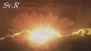 ЧИТАЮ СТИХИ: 