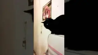 6 марта 2018 г.