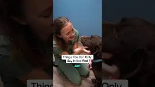 Things You Can Only Say In Vet Med (Part 3) 