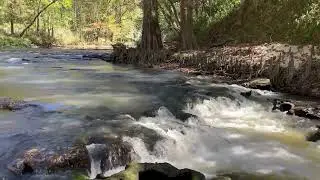 D'LO WATER PARK D'LO MISSISSIPPI