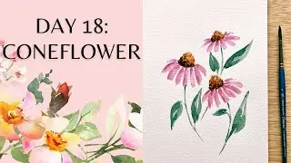 Day 18 - watercolor coneflower