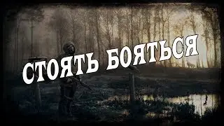 S.T.A.L.K.E.R CALL OF MISERY #15 Всё как-то просто..
