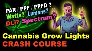 Cannabis Grow Lights Guide:  How Many Watts?  What is PAR?  PPFD? Cannabis Grow-Lights Crash Course!