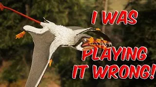 How the Rhamphorhynchus should be played?