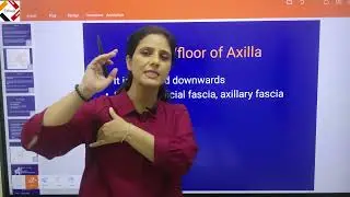 ANATOMY of AXILLA