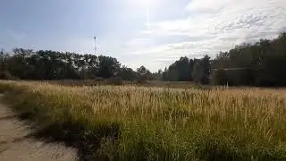 Парк из далека)