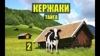 ЗАБРОШЕННАЯ ДЕРЕВНЯ СТАРОВЕРОВ СУДЬБА РАСКОЛЬНИКИ ДОМ в ЛЕСУ ИСТОРИИ из ЖИЗНИ РАССКАЗЫ СЕРИАЛ 2