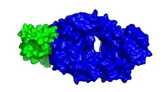 Nanobody Optimization via Machine Learning