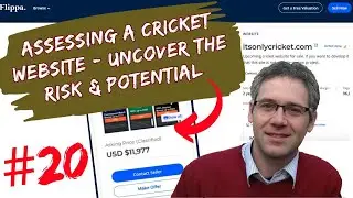 Buy a niche website (#20) - Assessing a cricket website to buy on Flippa