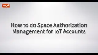 How to do Space Authorization Management for IoT Accounts