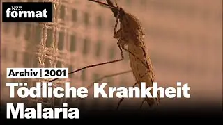 Tödliche Krankheit Malaria (2001)