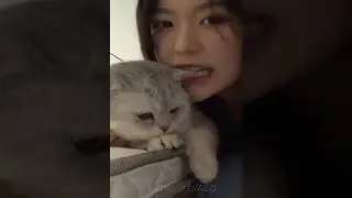 Смешные кошки и собаки нарезка ржач смех
