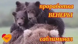 Гармонизация влияния Венеры с помощью саблиминала-аффирмаций