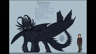 Night Fury Info