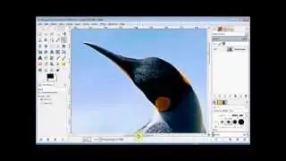 Gimp Beginner's Guide 6 - the zoom tool