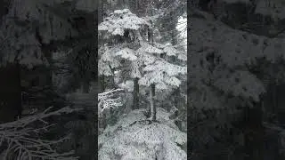 Снег в Бурсе/Улуда 