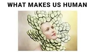 TUMBLR POSTS V310