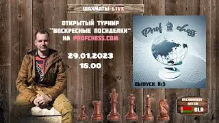 Играем в шахматы на profchess. Выпуск №5, 10+2