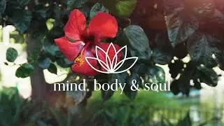 Here and Now (Alan Watts)