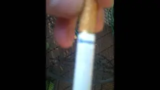 (New) Newport Smooth Select