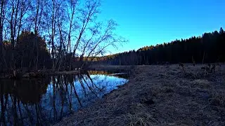 Воскресное весеннее утро на Урале с лебедями.