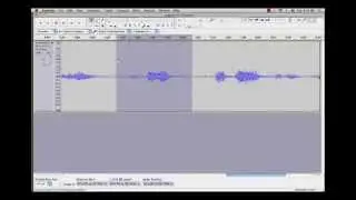 Basic Audio Editing in Audacity