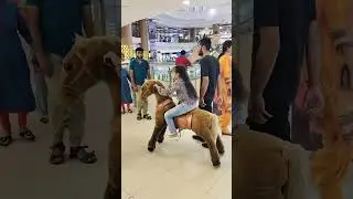 inorbit mall vadodara gujarat