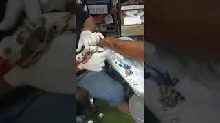 Tattoo timelapse