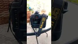 nikon d5