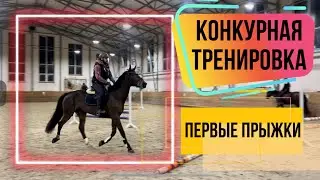 Конкурная тренировка: Нервная кобыла