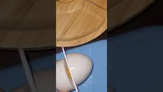 Cutting hardboiled egg/ Satisfying Asmr #shorts