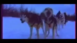 Реальная встреча с вампиром на заброшенном кладбище Жуть!