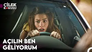 Gaz ve Pedal ile Bugün Tanıştım - Çilek Kokusu