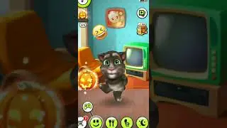 Tom Fan