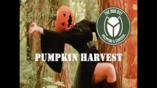 Pumpkin Harvest