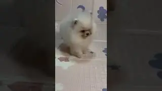 Бест Илреан Айк ❤️ в поиске лучших ручек 