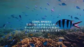 テクノロジーで世界のサンゴ礁を救う（1 分 20 秒）
