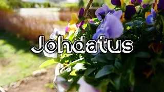 VLOGI#51 - Johdatus