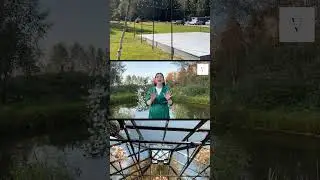 Обзор веранды Грин Хаус. Стеклянная оранжерея для праздников в Подмосковье #ревизорро #обзор #shorts