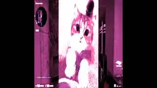 epic pink colored low res counterstrike kitten edit