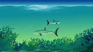Fish animation. Sharks  animation. Fishes