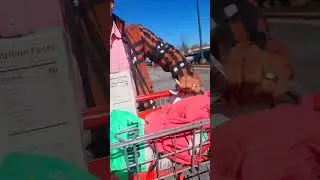 Shopping cart shenanigans pt2. My wife is something else 😂. 