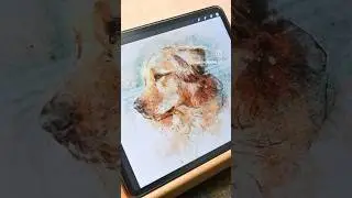 Golden Retriever Watercolor #painting #procreate
