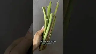 Ревень. Что это и как кушать? 