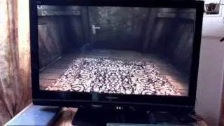 Давайте поиграем в Fallout new vegas (1 серия)