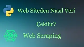 Web siteden Nasıl Veri Çekilir?