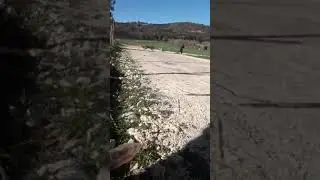 KANGALLAR ADAMLARA PUSU KURMUŞ