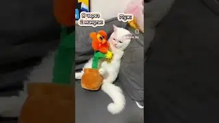 #увсехтак?