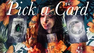 A Message from the Universe Tarot Reading 🌙🔮| Pick a Card 🪬