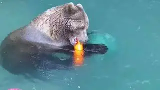 В бассейне играет 1